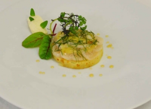 Service plat restaurant